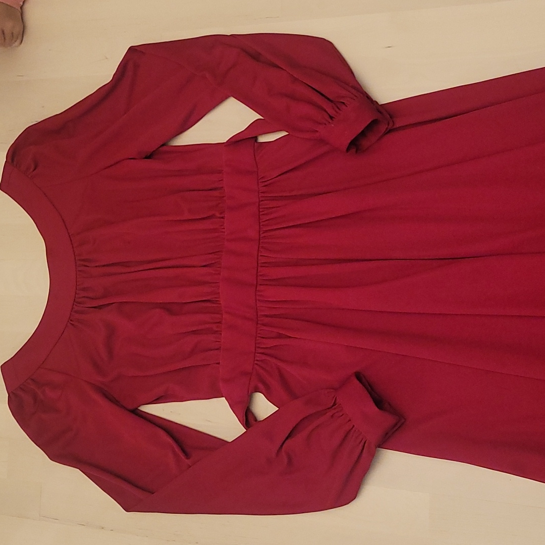 Fabulous 1970s International Ladies Garment Workers Union Vintage Deep Red Dress